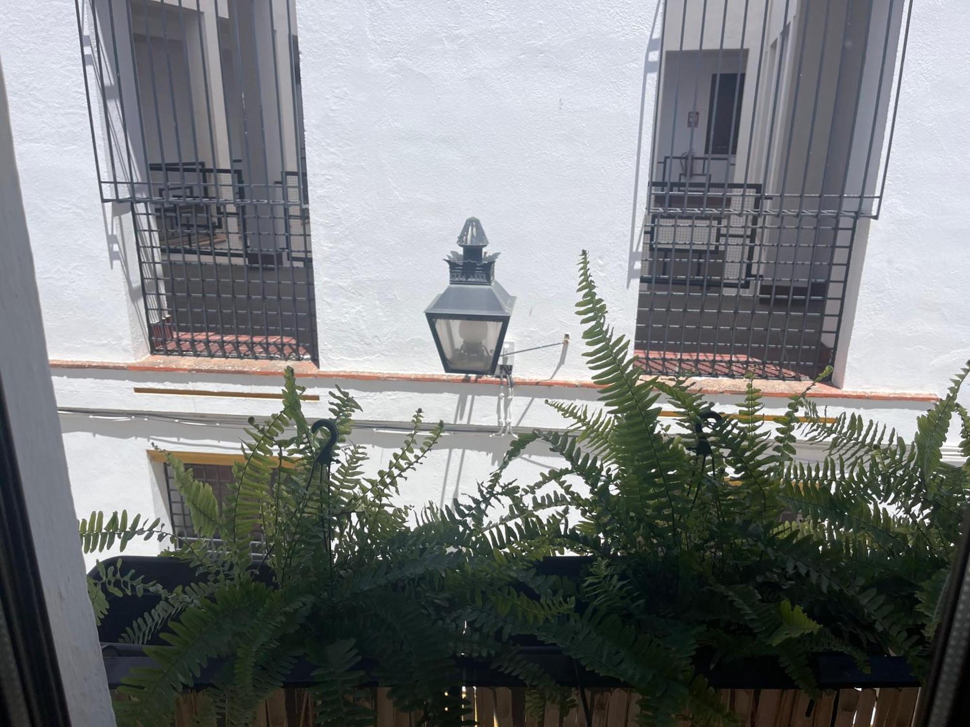 Mucho Trigo Apartments New Κόρδοβα Εξωτερικό φωτογραφία